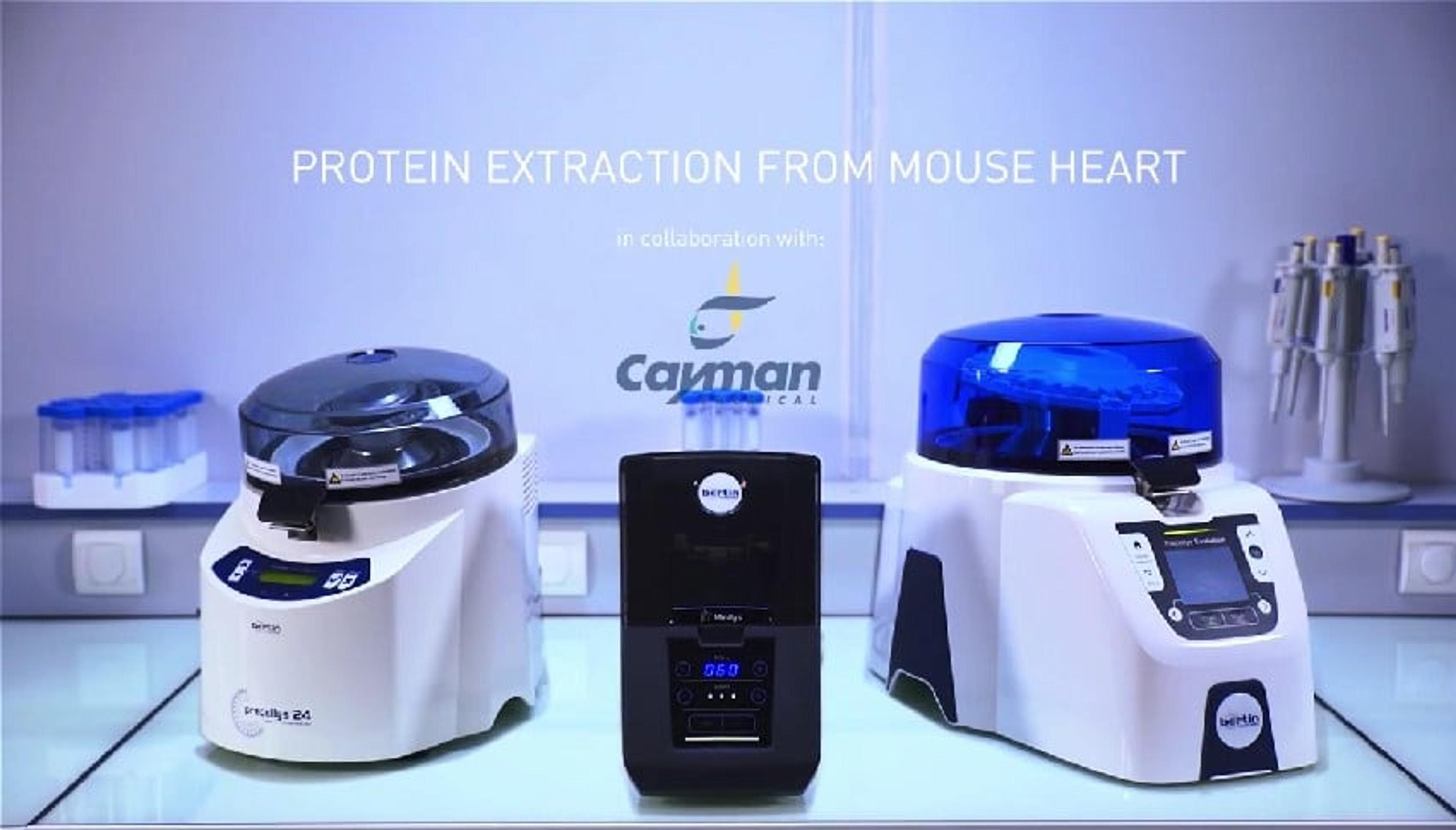 Mouse Heart Homogenization with Minilys Mouse Heart Homogenization with Minilys