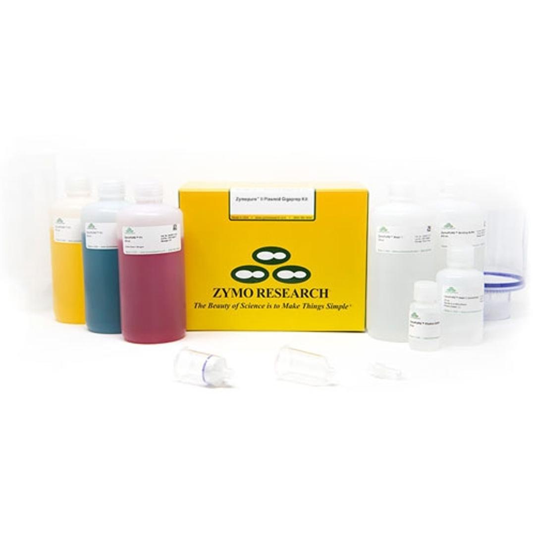 ZymoPURE Plasmid Gigaprep Kit