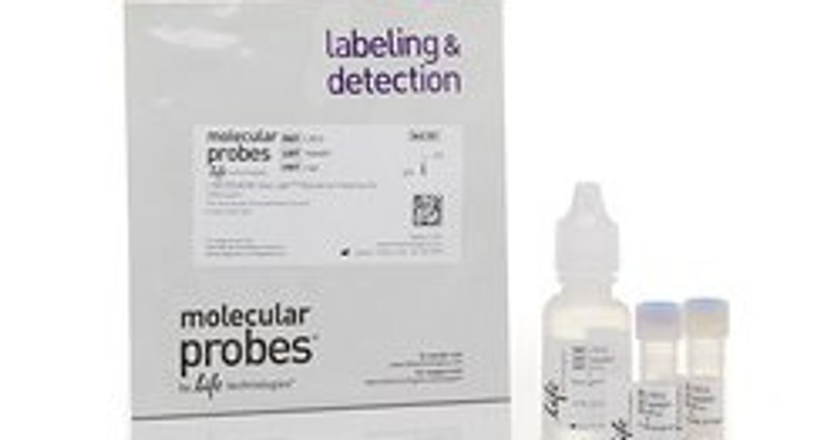 Invitrogen™ LIVE/DEAD™ BacLight™ Bacterial Viability Kit reviews