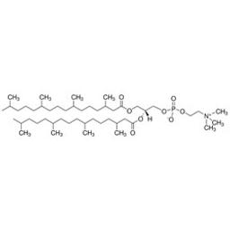 4ME 16:0 PC 1,2-diphytanoyl-sn-glycero-3-phosphocholine, pow