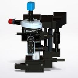 Ultima 2Pplus Two-Photon Microscope