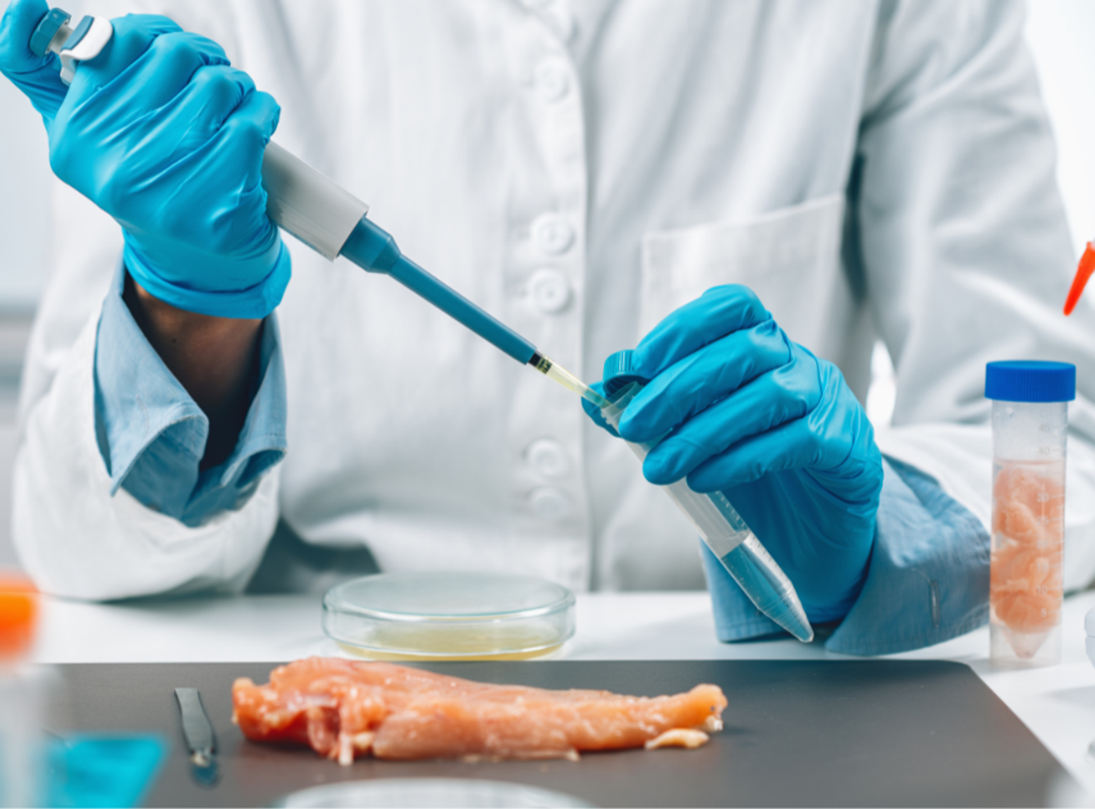 food microbiology testing landscape