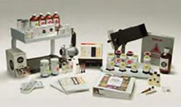 Amtox Grams Plus A (19) - DRG International Inc. - Forensics