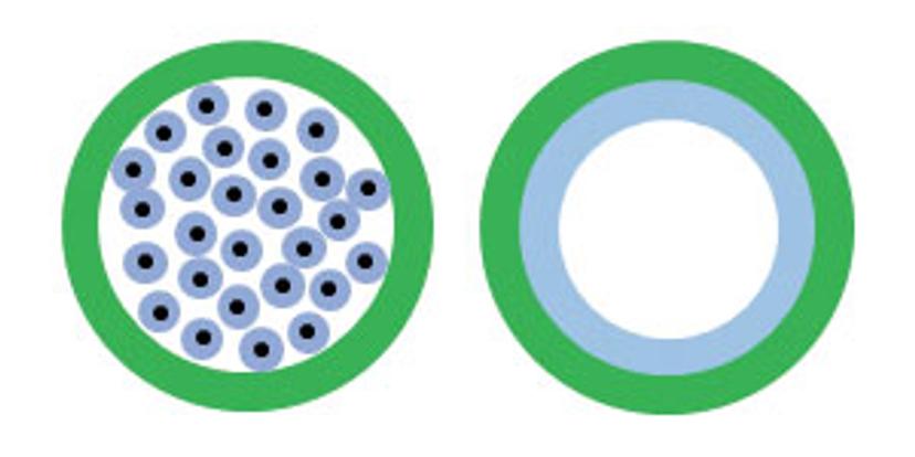 Figure 1: Packed GC columns (left) and capillary GC columns (right).  Stationary phase appears in blue.