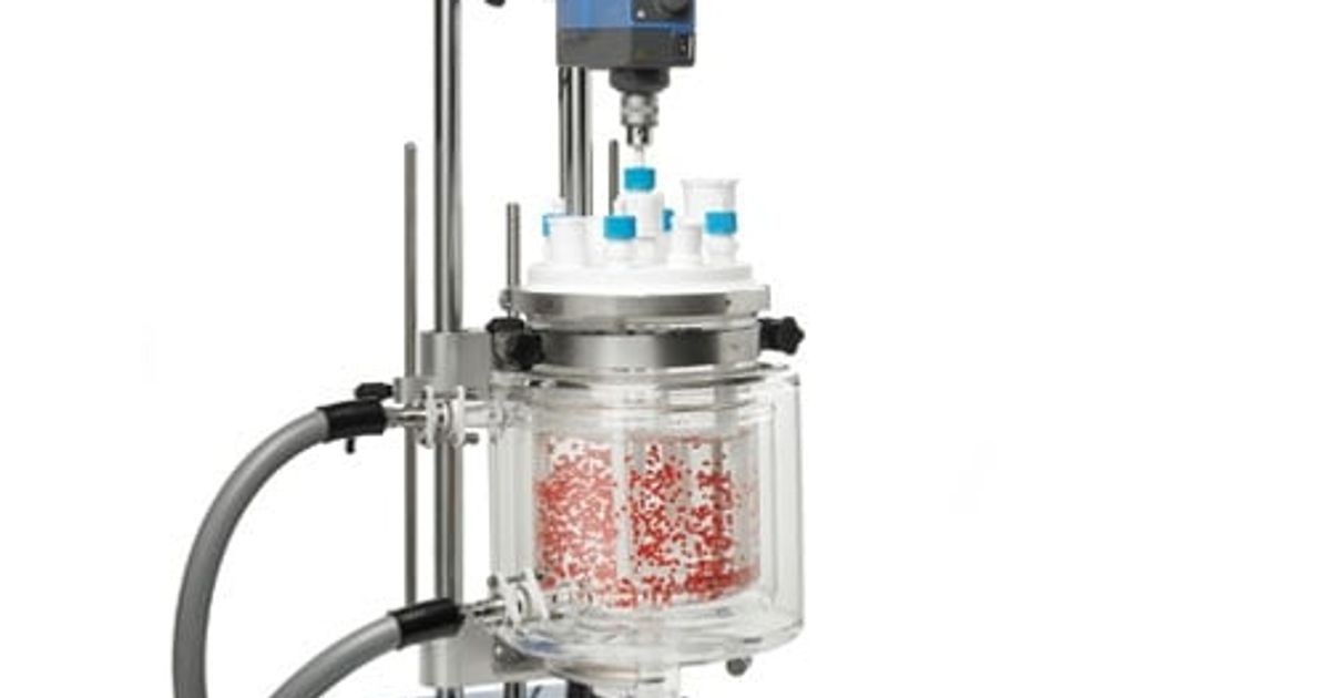 ReactoMate Controlled Lab Reactors - Pilot