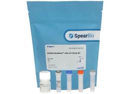 SPEAR UltraDetect™ pTau 231 Biomarker Assay Kit
