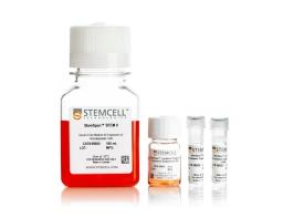 StemSpan NK Cell Generation Kit