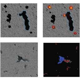 Cell (orange) vs. other (black)