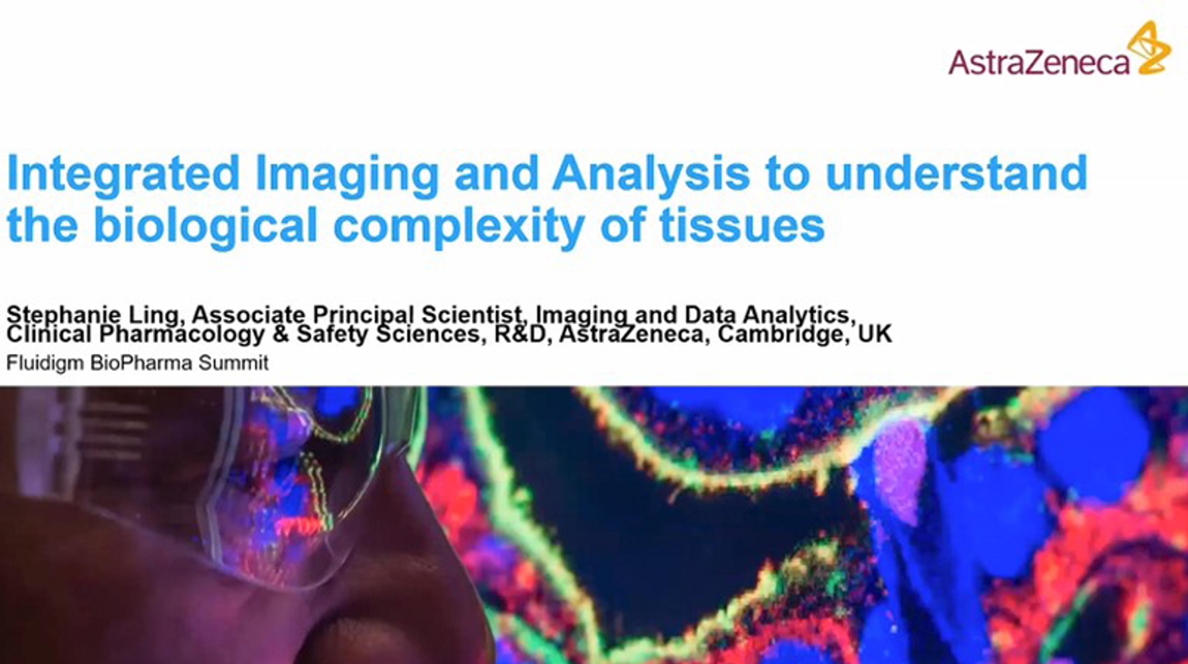 Integrated imaging and analysis to understand the biological complexity of tissues Integrated imaging and analysis to understand the biological complexity of tissues