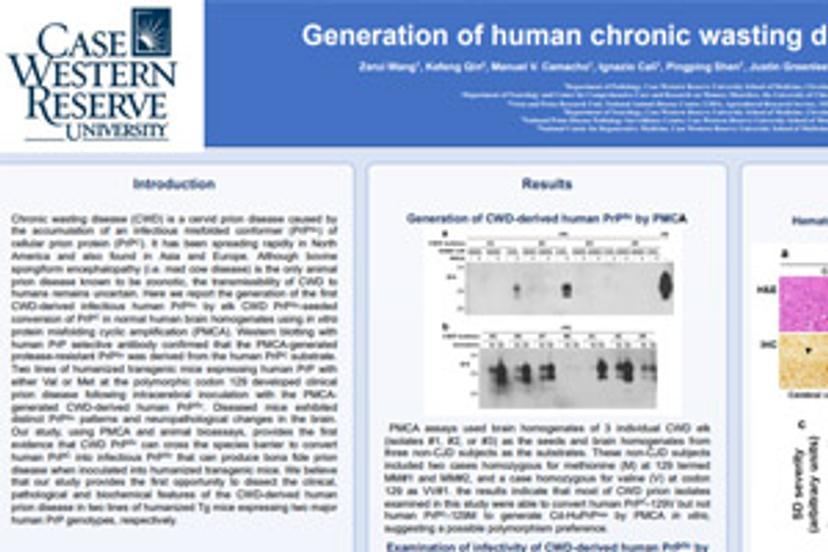 Generation of human chronic wasting disease in transgenic mice