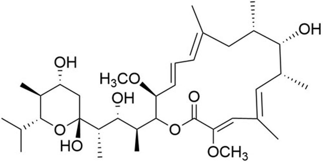 Bafilomycin A1