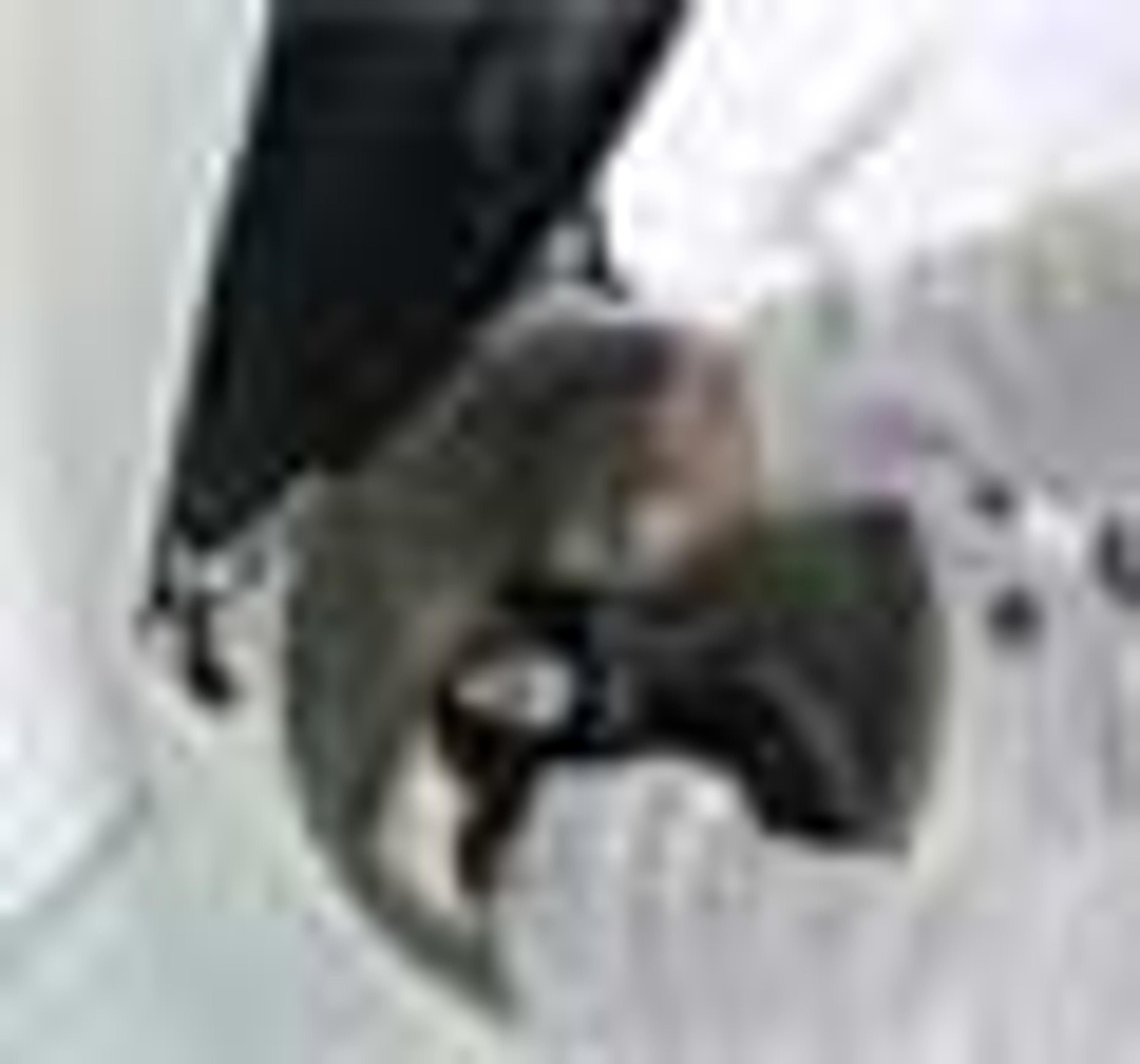 Change Centrifuge Rotors Quickly & Easily Change Centrifuge Rotors Quickly & Easily