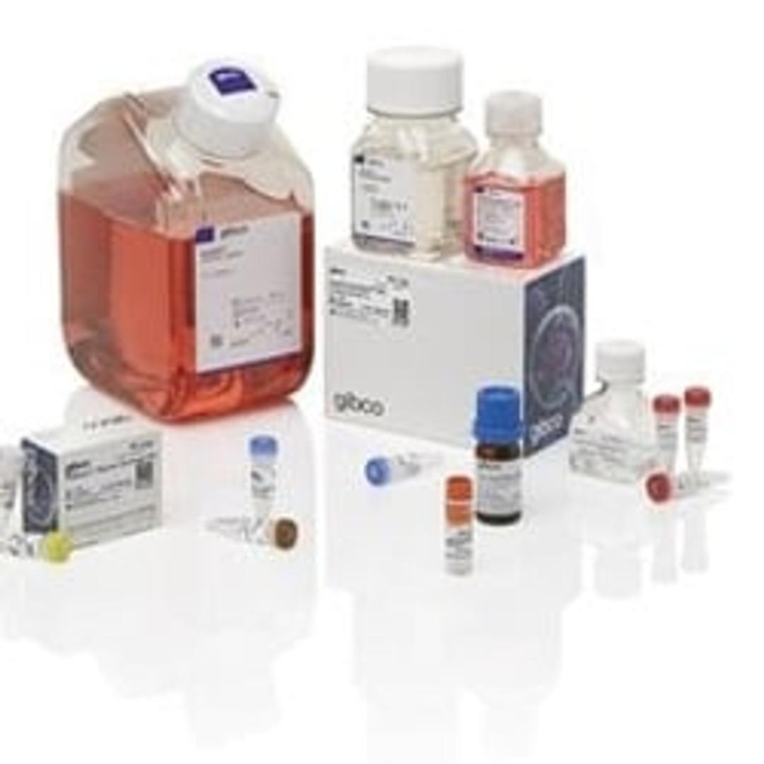 Expi293™ Inducible GnTI- Expression System Kit