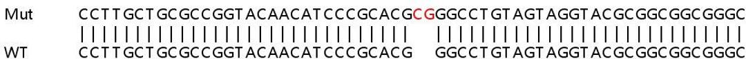 Sanger Seq - EMD knockout HEK293T