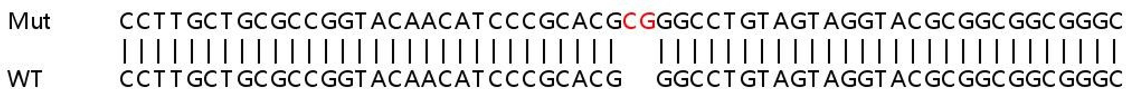 Sanger Seq - EMD knockout HEK293T