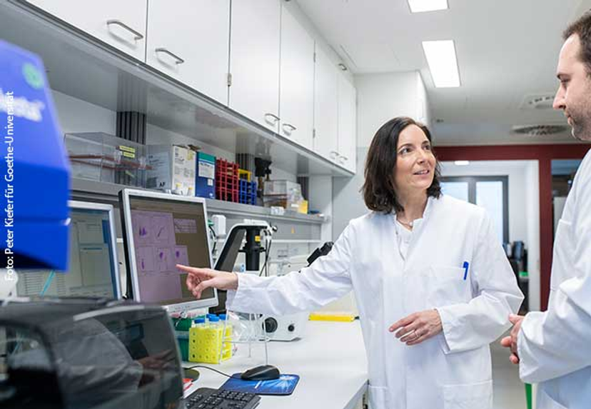 The genetic changes in the CAR-NK cells can be checked in a so-called flow cytometer (FACS). Prof. Evelyn Ullrich, Tobias Bexte (from left).