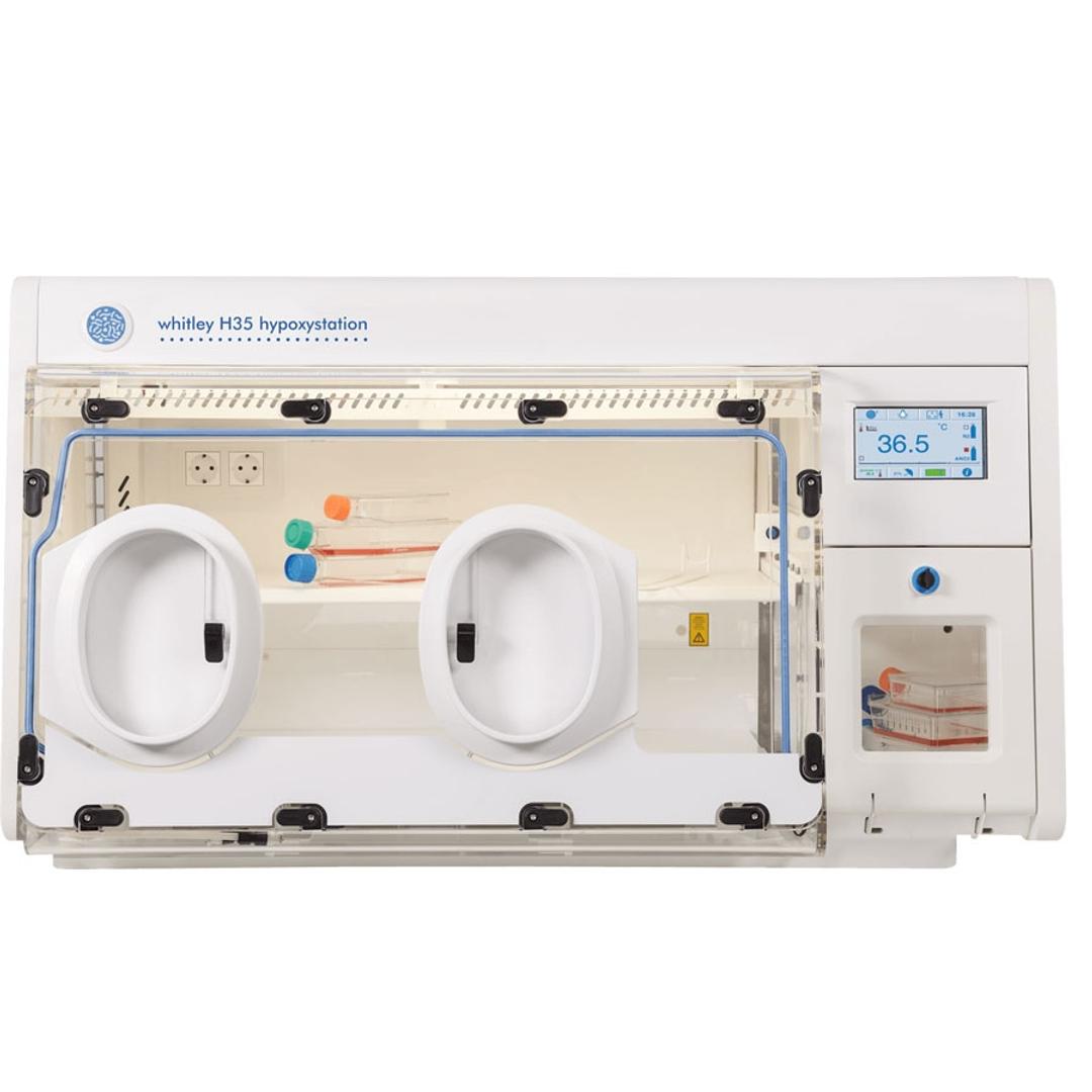 Whitley H35 HEPA Hypoxystation