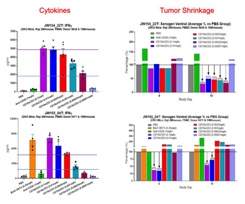 Evidence-based selection of the starting dose in first-in-human clinical trials using humanized mouse models