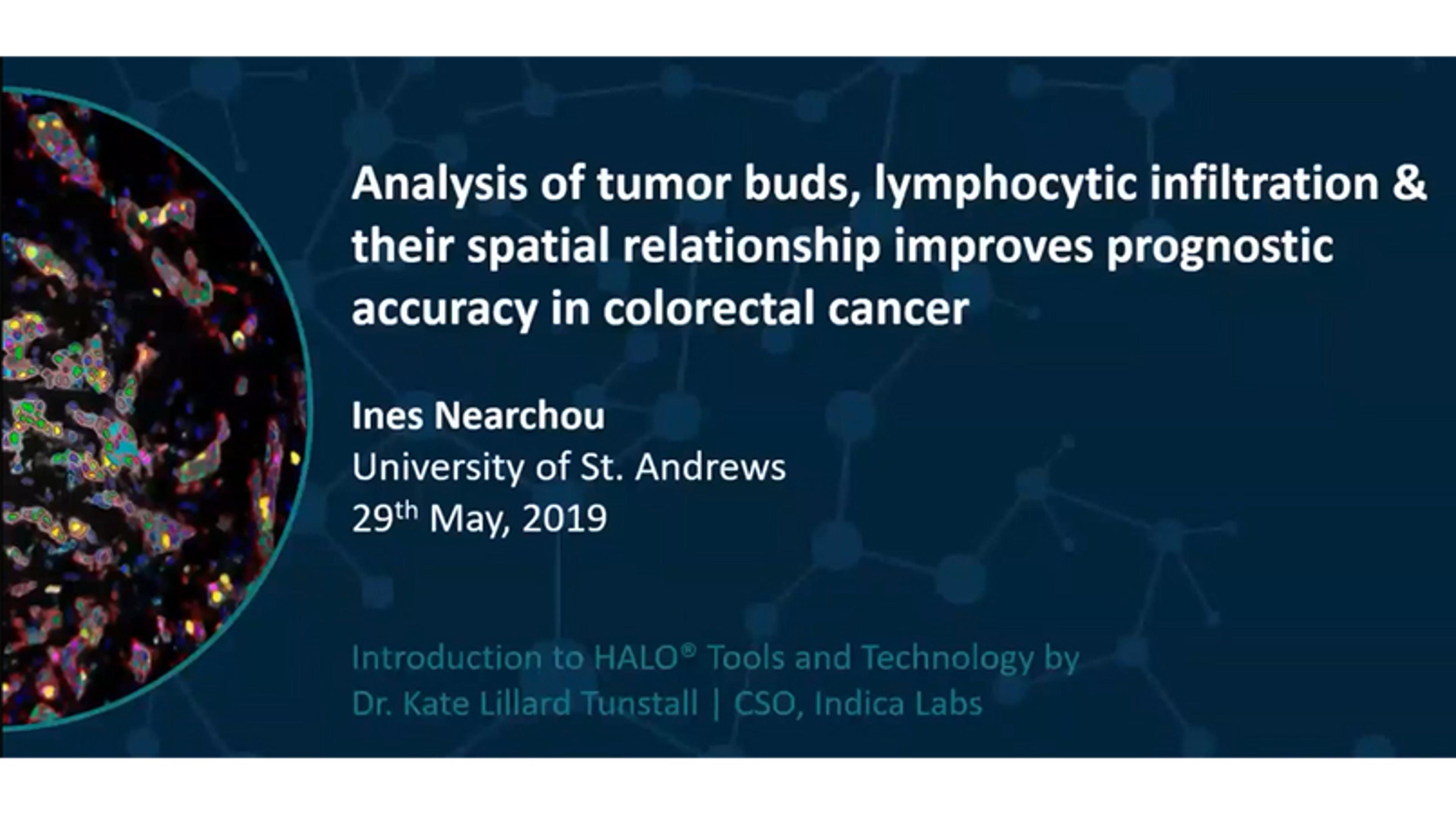 Improved prognostic accuracy in colorectal cancer Improved prognostic accuracy in colorectal cancer