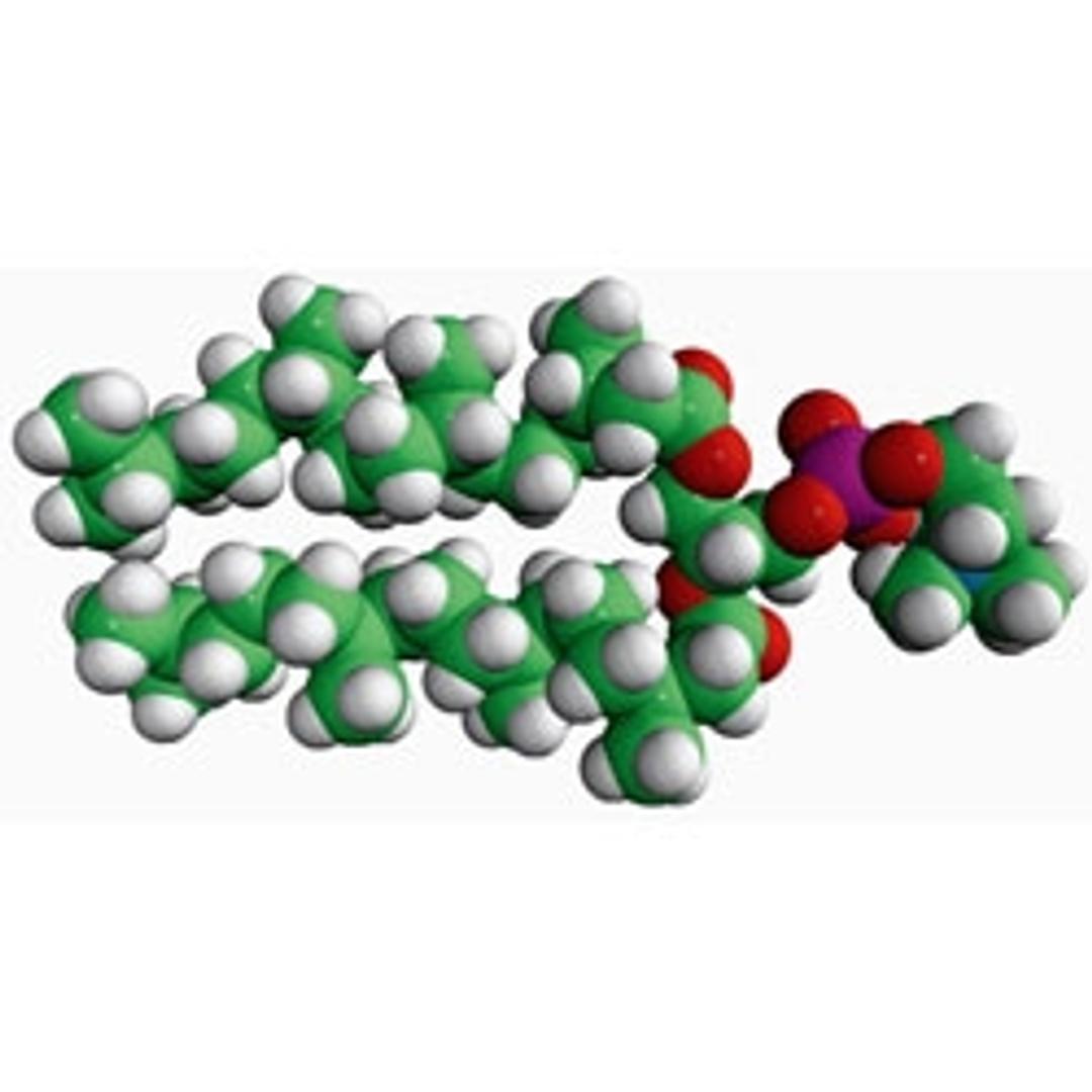 4ME 16:0 PC 1,2-diphytanoyl-sn-glycero-3-phosphocholine, pow