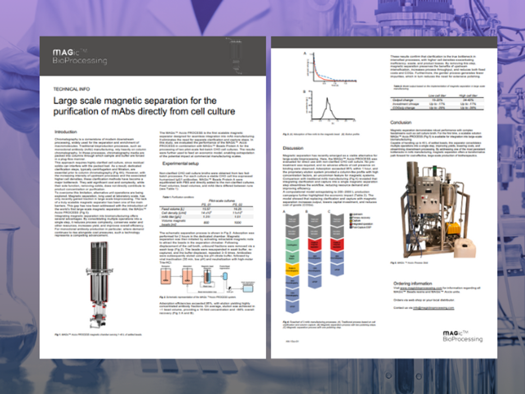 Large scale magnetic separation for the purification of mAbs directly from cell culture