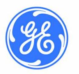 GE Analytical Instruments