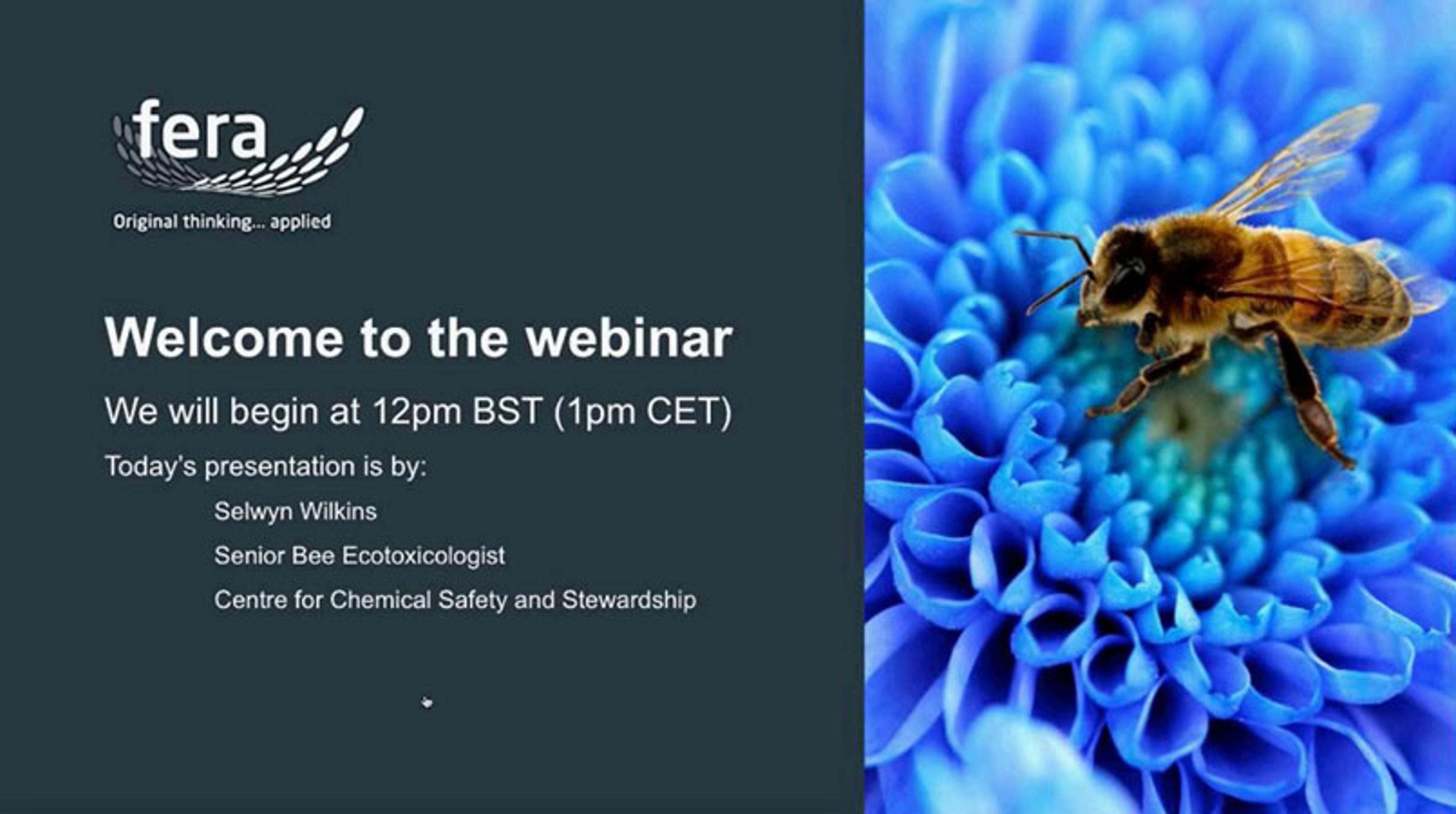 Bee Ecotoxicology – An Essential Field of Study to Protect Pollinators Bee Ecotoxicology – An Essential Field of Study to Protect Pollinators
