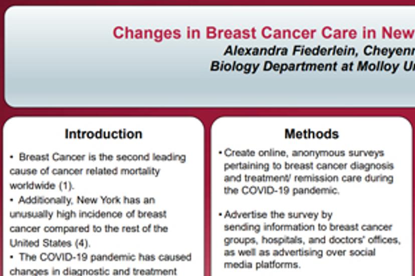 Changes in breast cancer care in New York during the COVID-19 pandemic