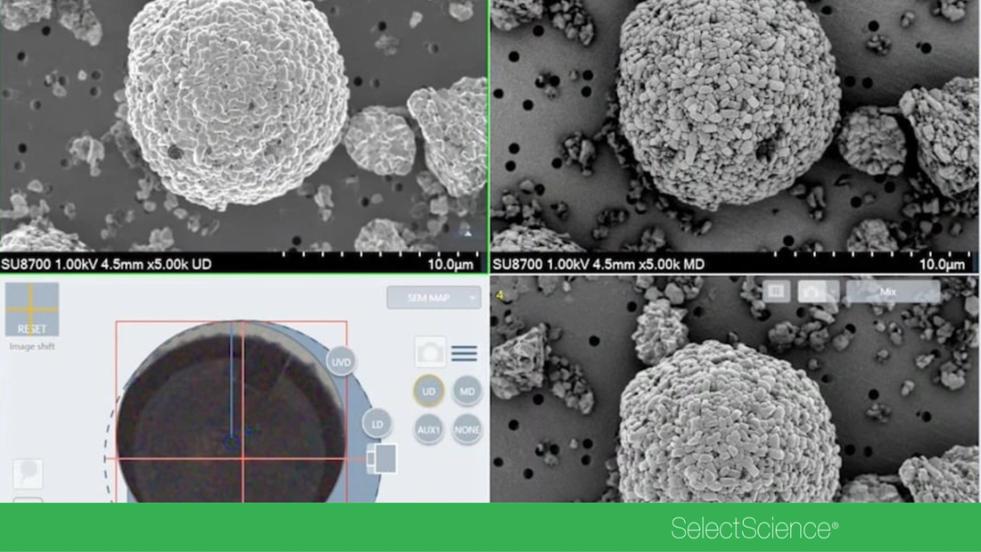 Automated SEM workflows for faster, cleaner analysis - SelectScience ...