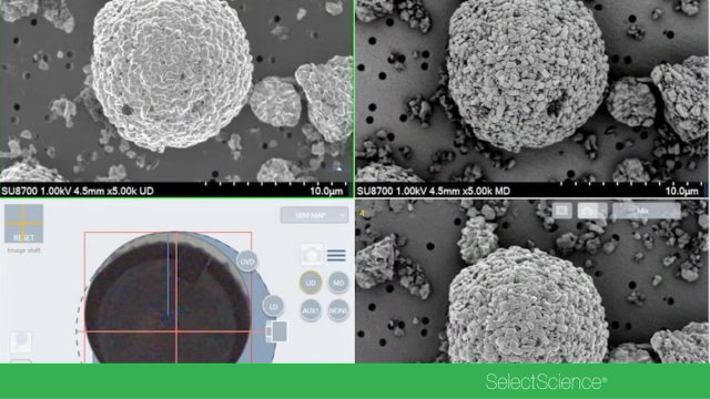 Automated SEM workflows for faster, cleaner analysis - SelectScience ...