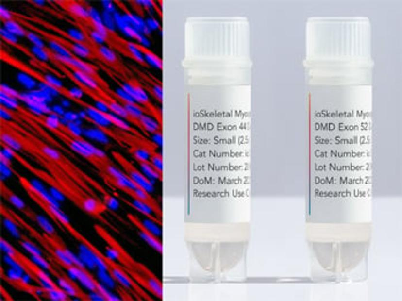 bit bio ioSkeletal Myocytes DMD Exon 44 Deletion™ and ioSkeletal Myocytes DMD Exon 52 Deletion