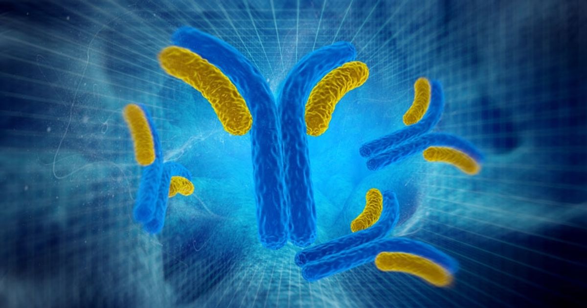 Learn About Antibody Production at Jackson ImmunoResearch Laboratories Inc