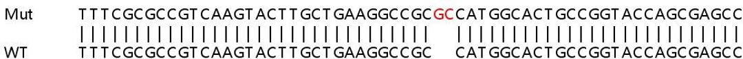 Sanger Seq - ABCD3 knockout HeLa