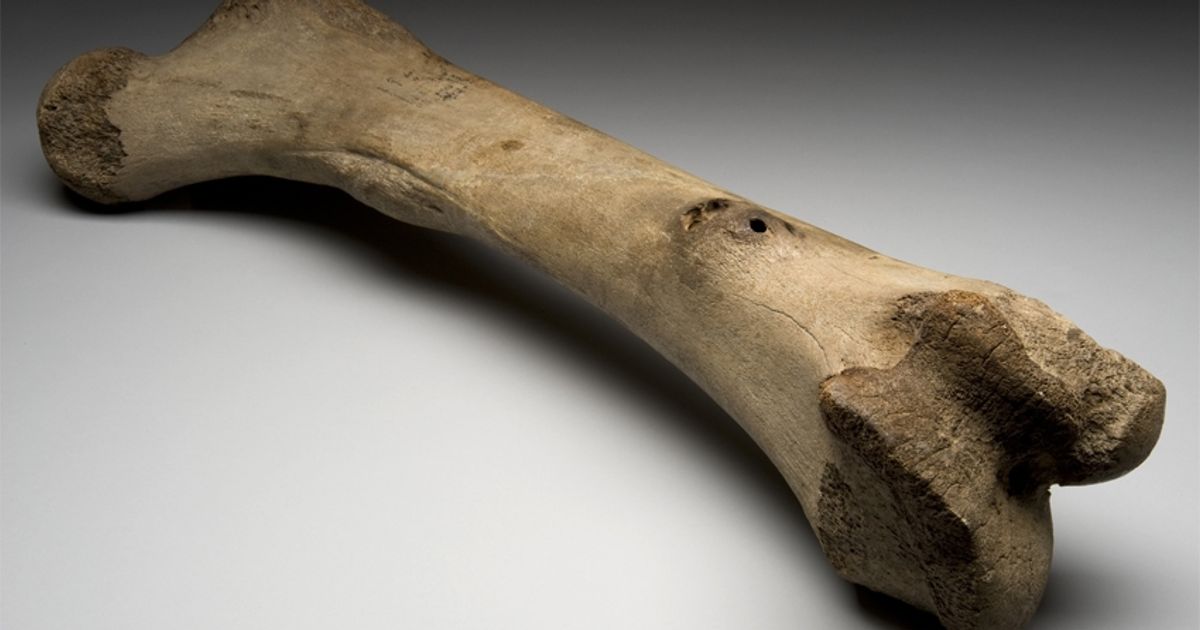 Prescreening of Collagen Content in Archaeological Bone Samples at the ...