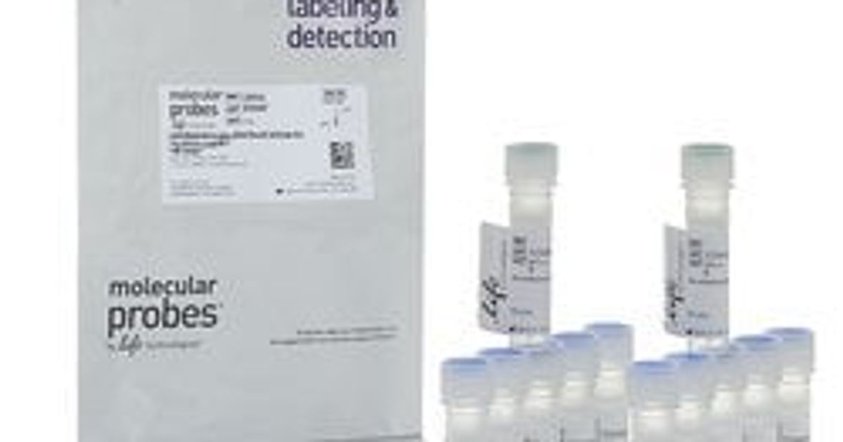 Invitrogen™ LIVE/DEAD™ Fixable Aqua Dead Cell Stain Kit reviews