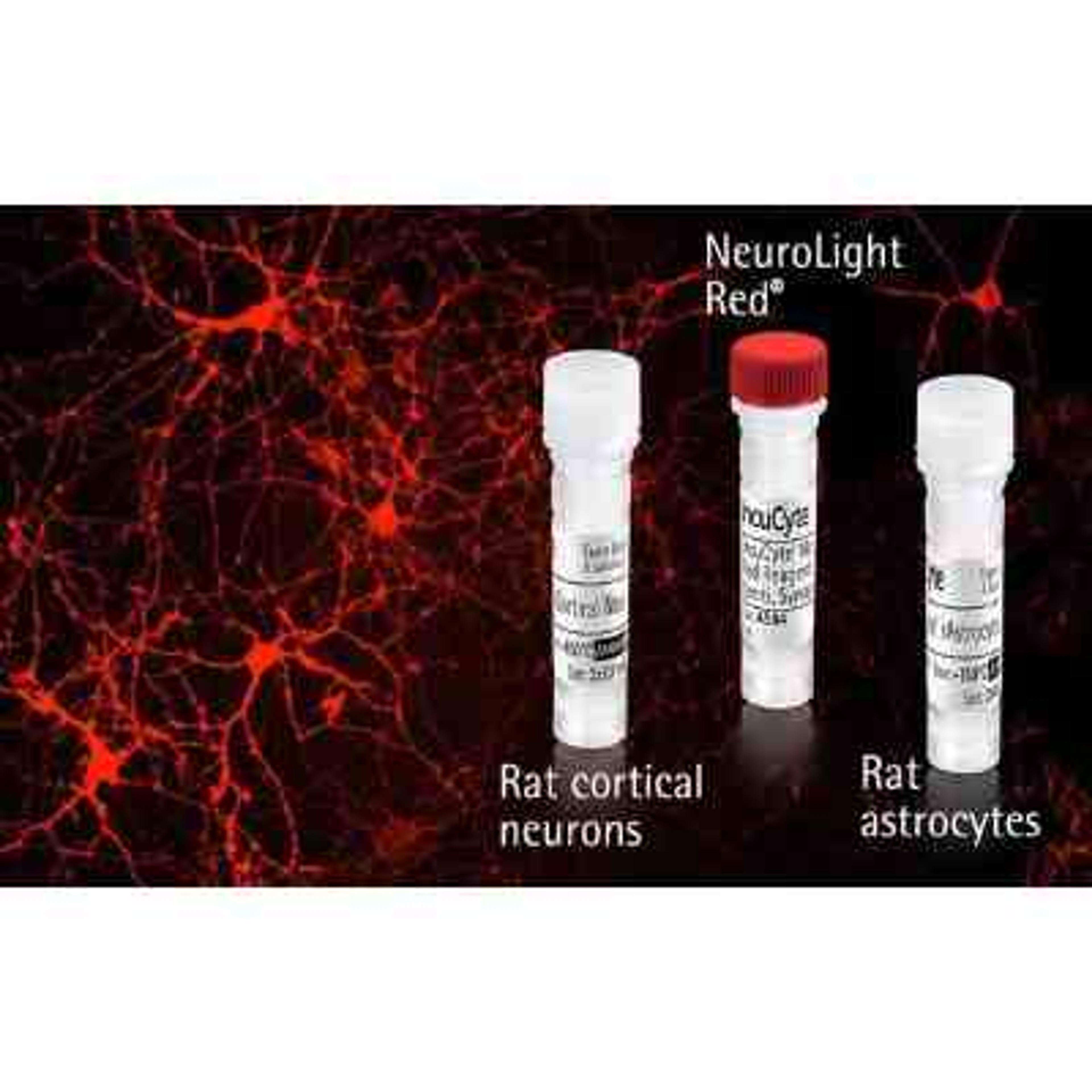 NeuroPrime Red Cell and Reagent Kit