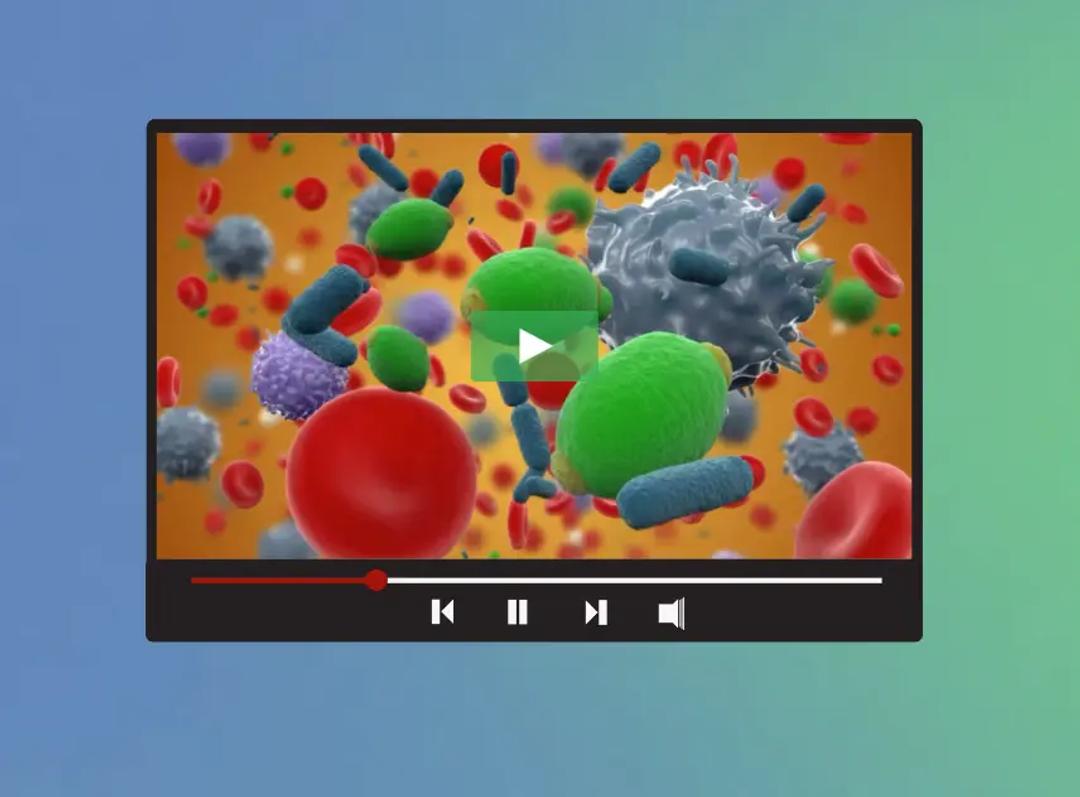 Molecular diagnostics QC controls