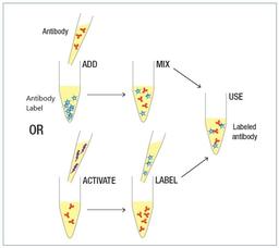 Conjugation kits contain all liquid-based reagents. No recon