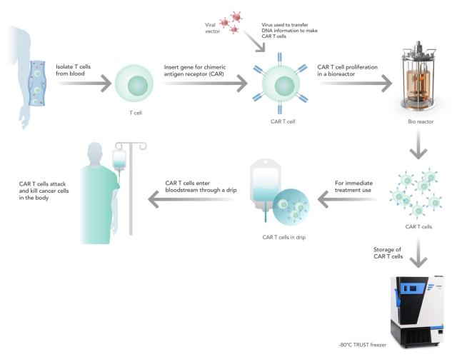 The power of biopharmaceuticals as a therapeutic for cancer