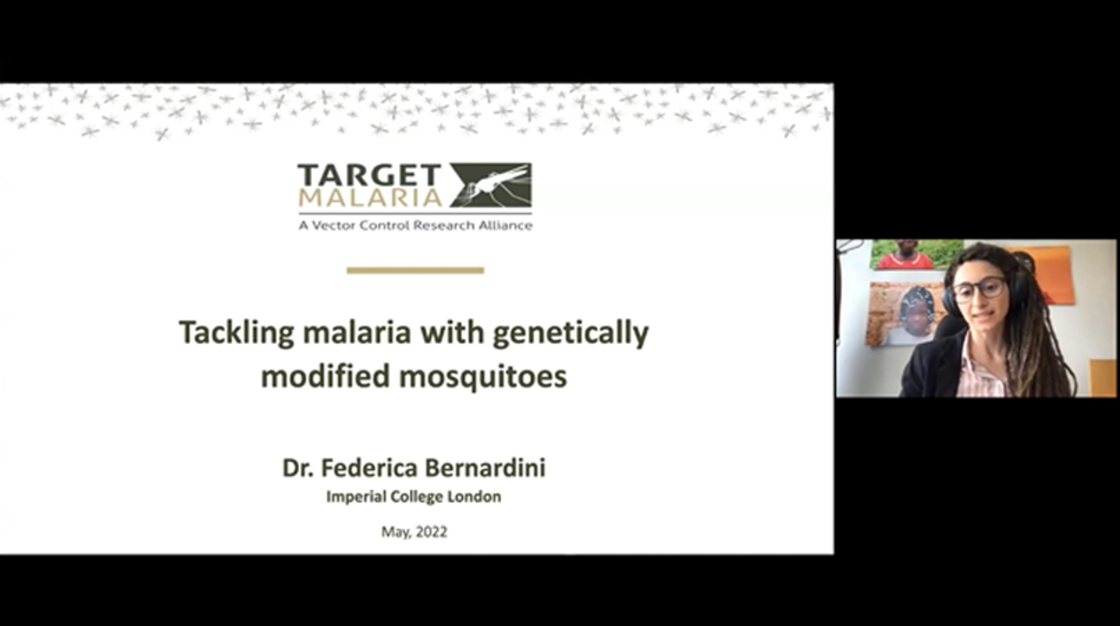 Tackling malaria with genetically modified mosquitoes Tackling malaria with genetically modified mosquitoes