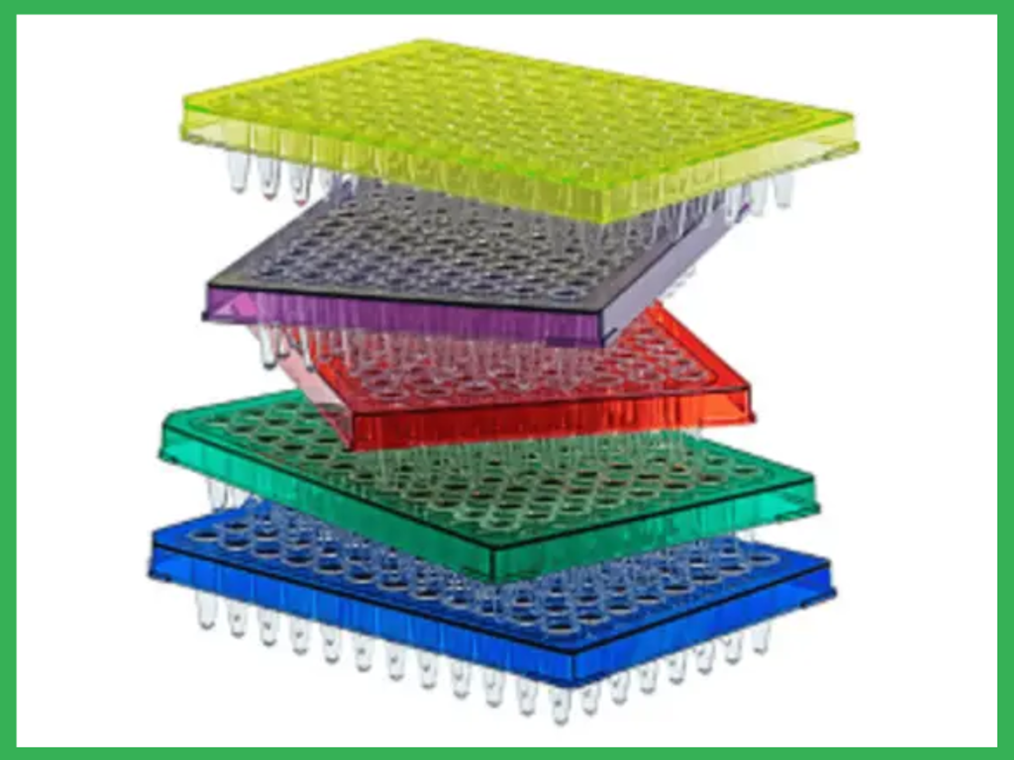 Amplify Rigid PCR Plates 