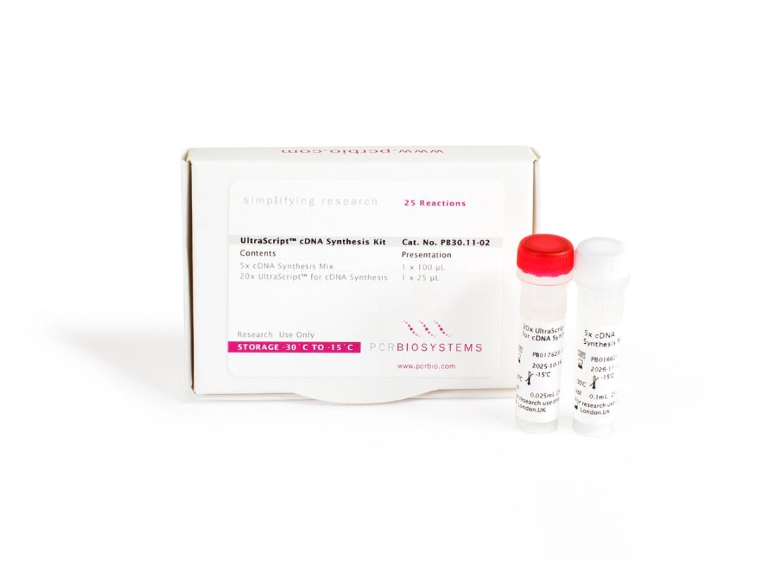 Easy-to-use 2 tube system for cDNA synthesis