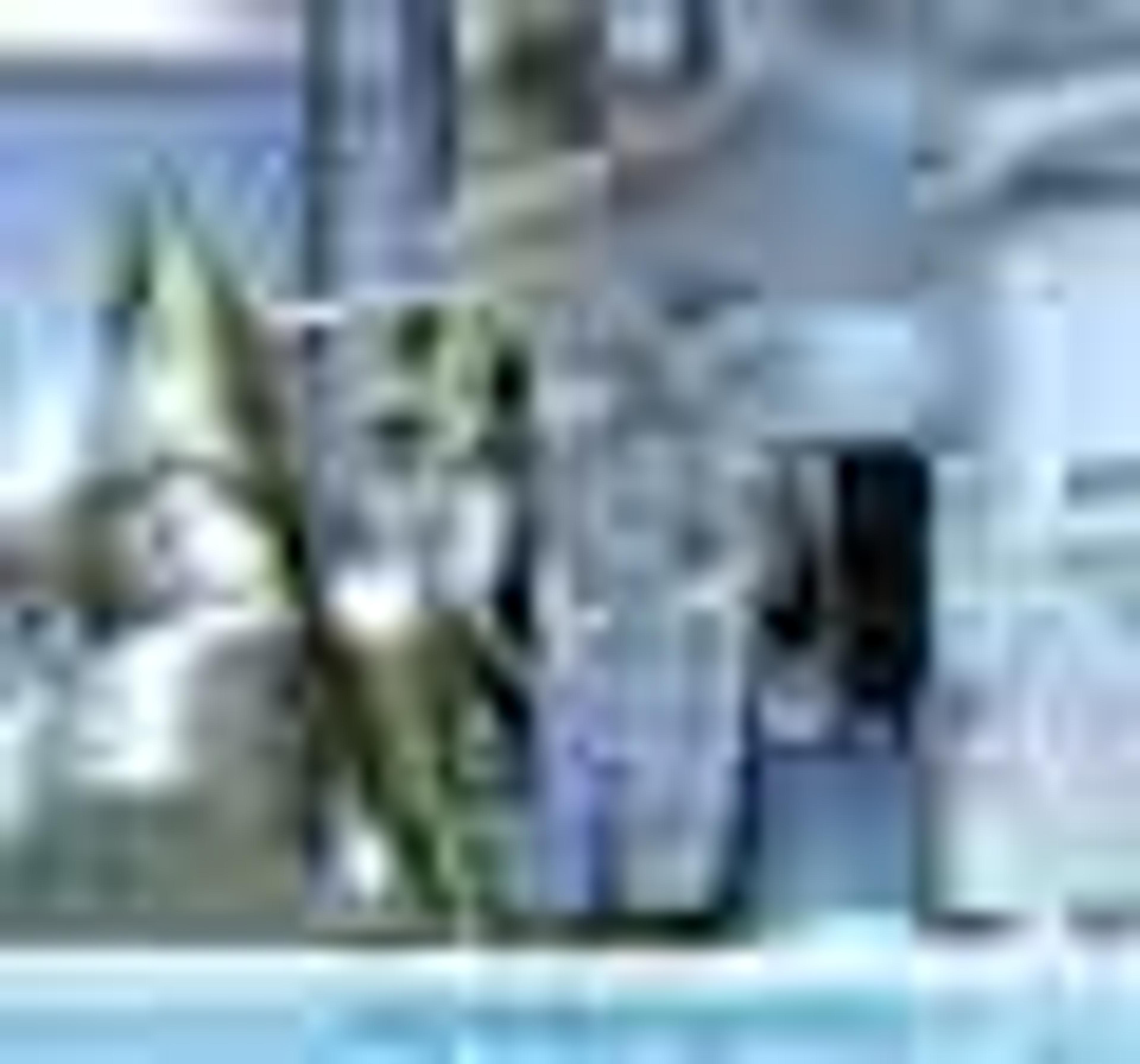 Customized Compound Management from CyBio Customized Compound Management from CyBio