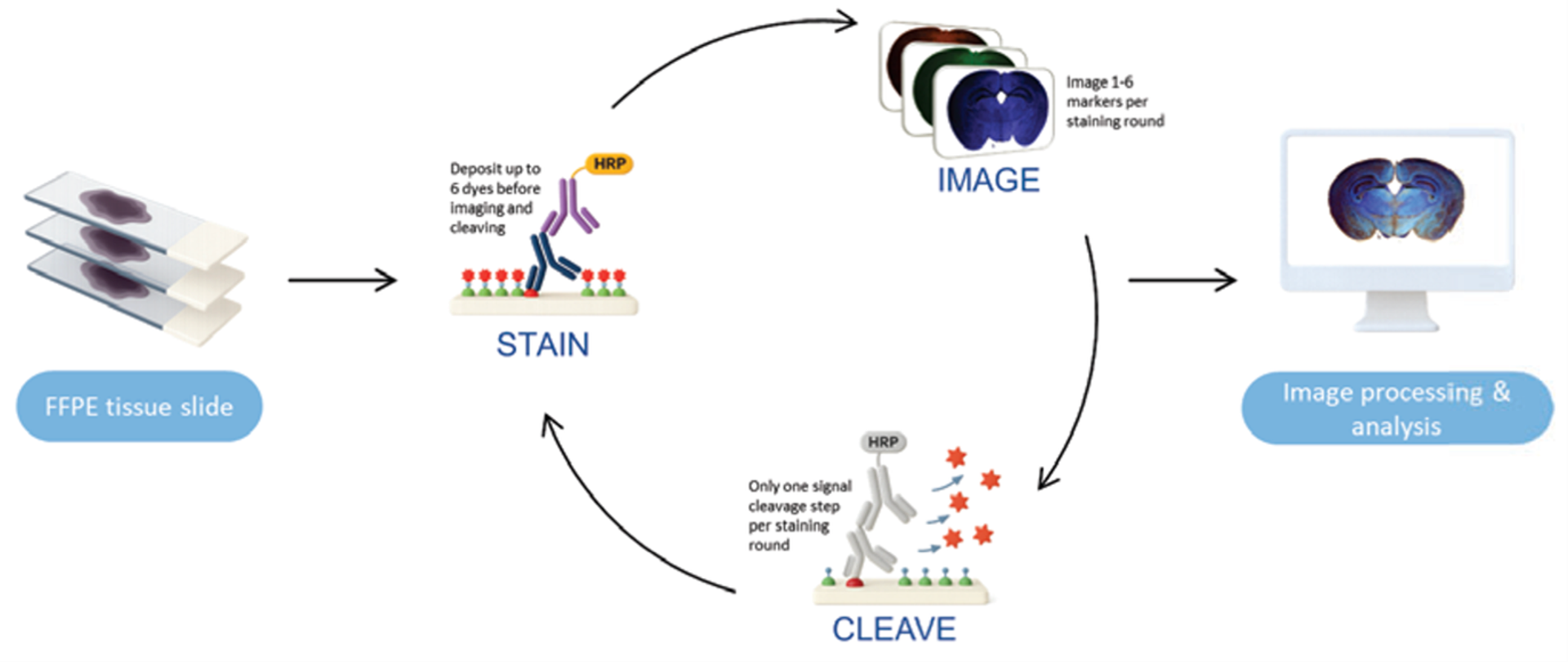Spatomics’ proprietary CFP technology 