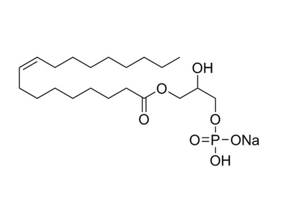 1-Oleoyl Lysophosphatidic Acid