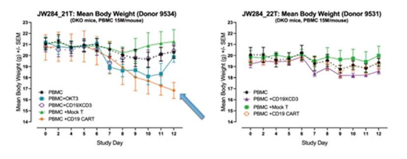 A translationally-relevant alternative to non-human primates