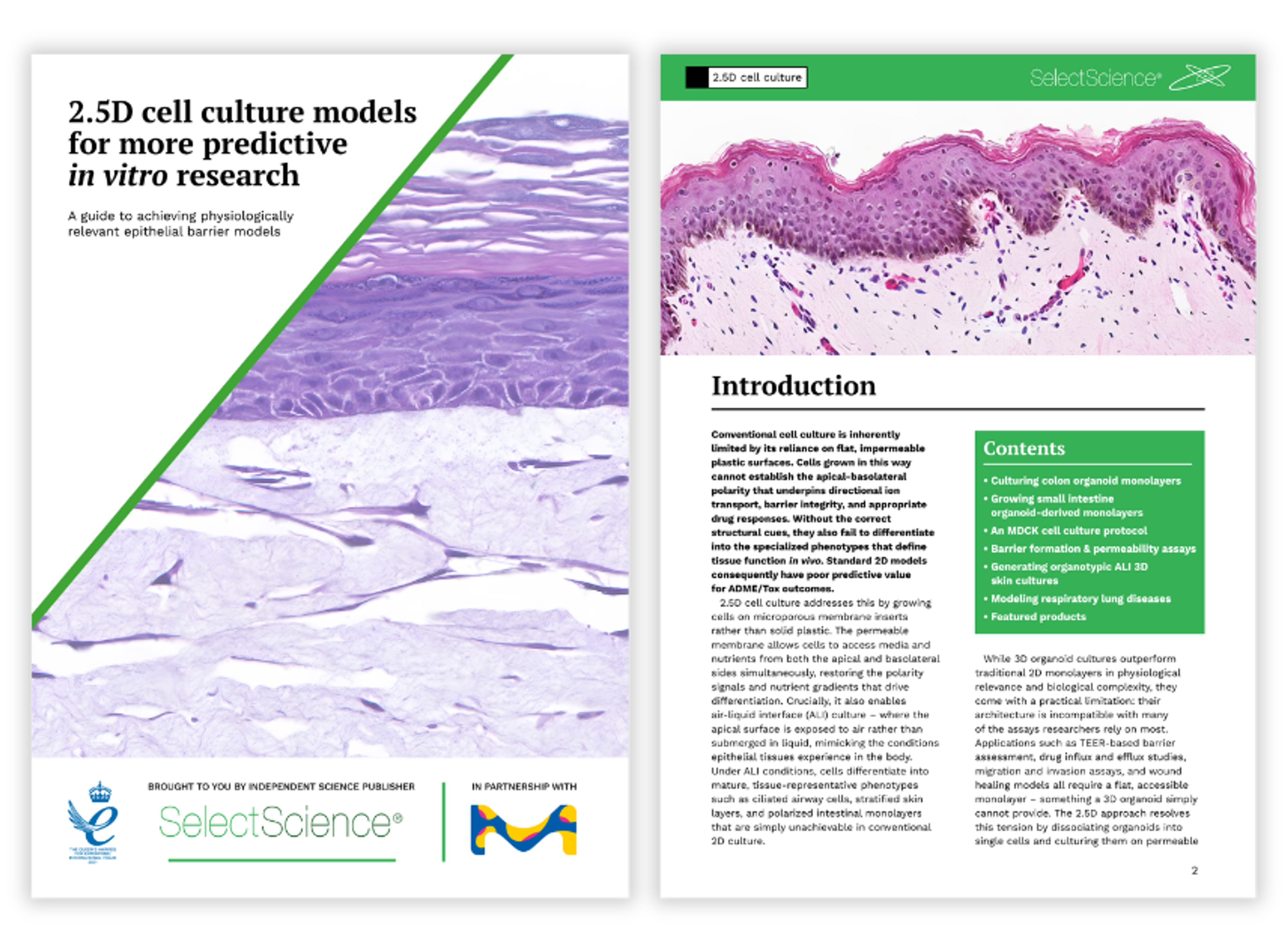 Merck - 2.5D cell culture models - SelectScience eBook