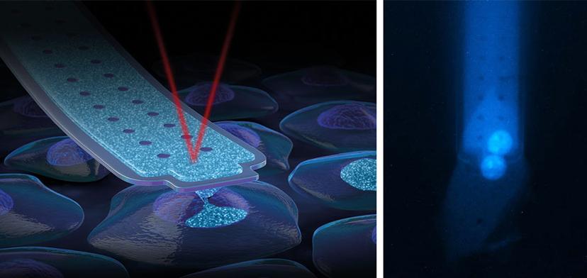 Cytosurge FluidFM technology