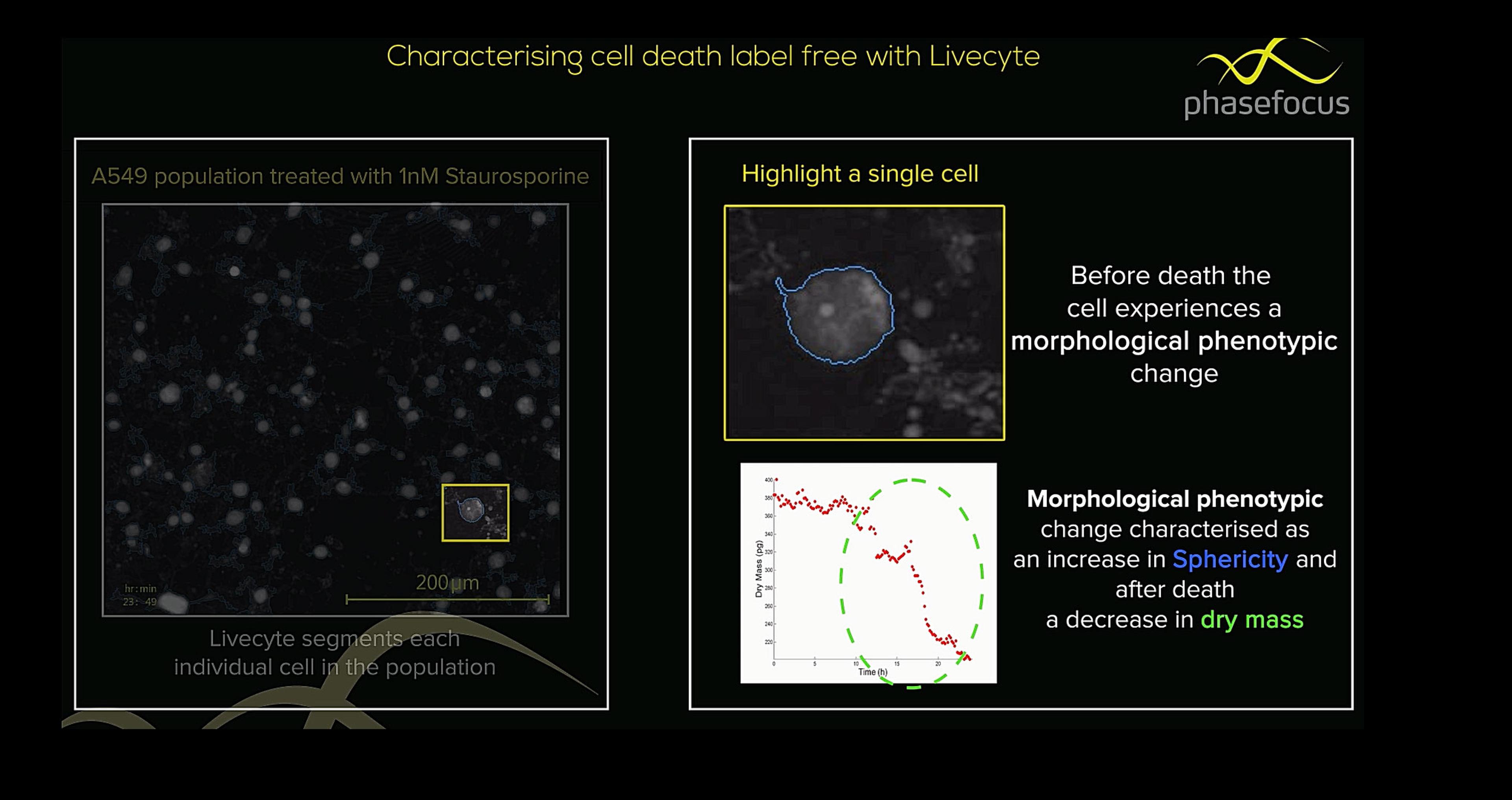 Label-Free Analysis of Cell Growth and Death Assay with the Phasefocus Livecyte Label-Free Analysis of Cell Growth and Death Assay with the Phasefocus Livecyte