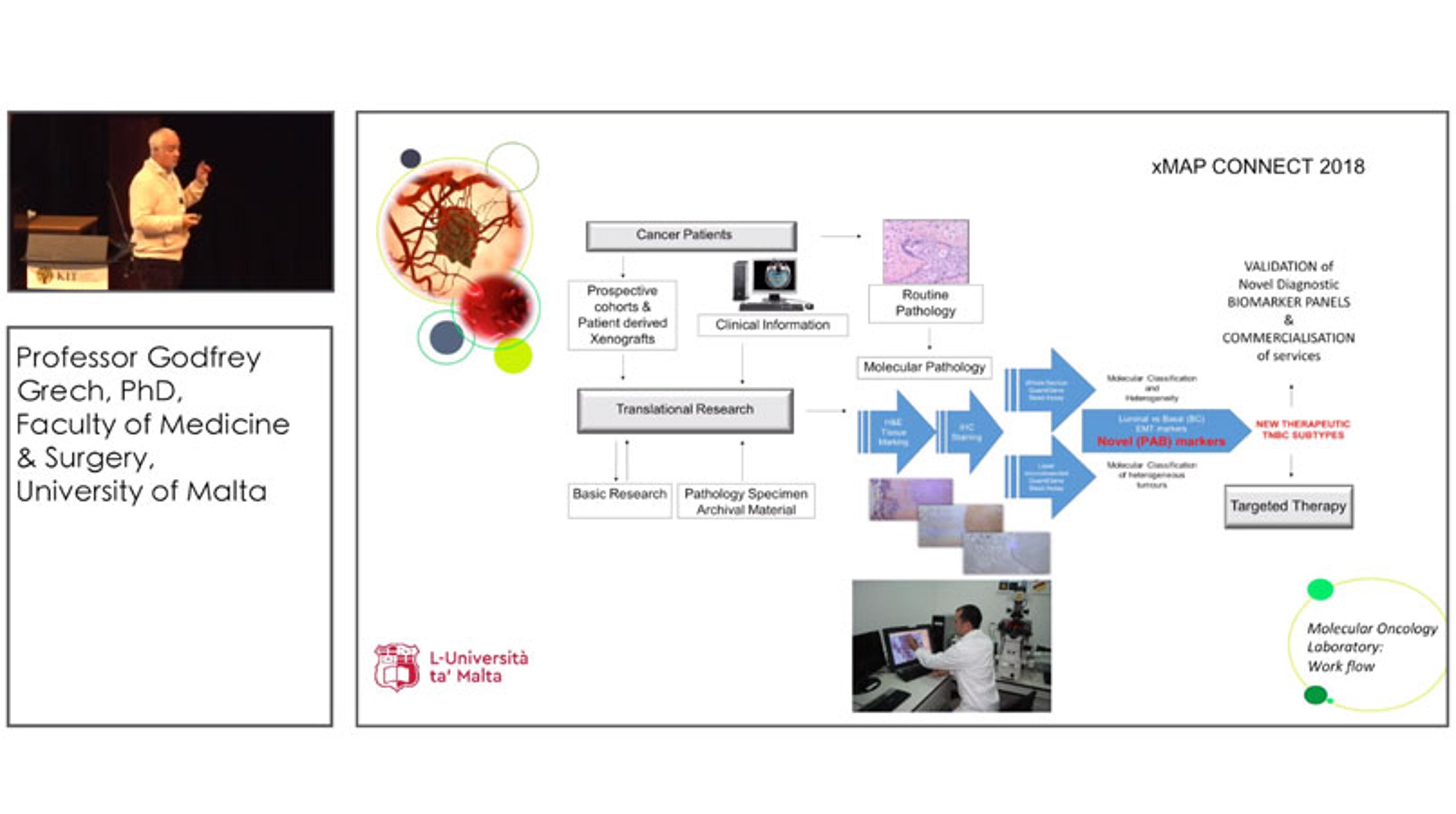 Understanding Cancer-Related Amplifications with Bead-Based RNA Assays Understanding Cancer-Related Amplifications with Bead-Based RNA Assays